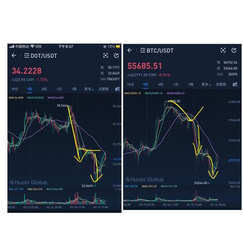 Dot有可能涨到1000元吗的简单介绍