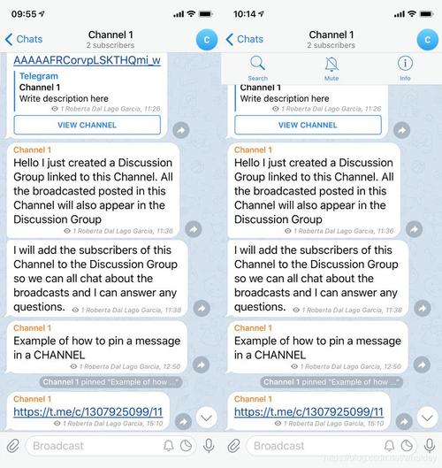 包含电报telegeram官网正版的词条