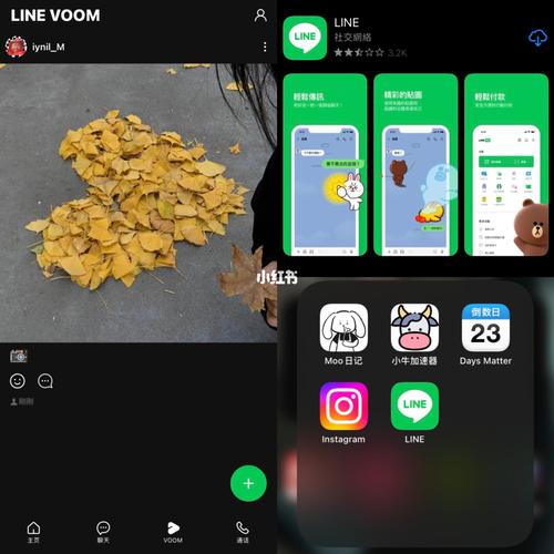 line社交软件怎么玩:社交软件line在中国怎么用