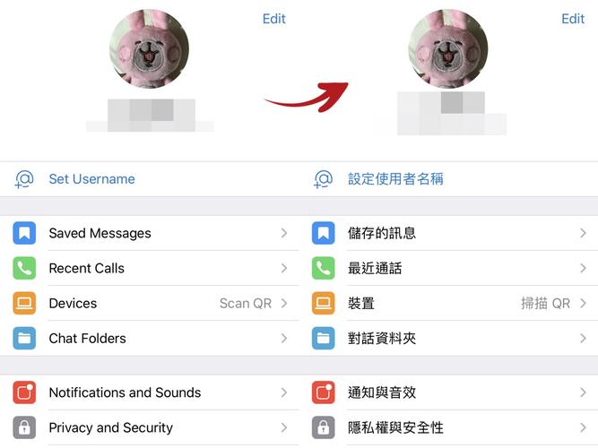 telegraam下载:telegarm中文版下载地址