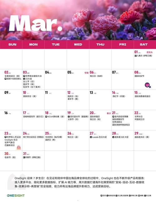 TG最新版下载2025:TG最新版下载2025年3月27日