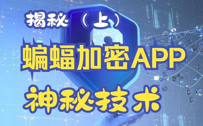 蝙蝠app骗局:蝙蝠app都是犯法的人