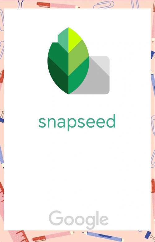 软件snapchat下载:snapchat app apk download