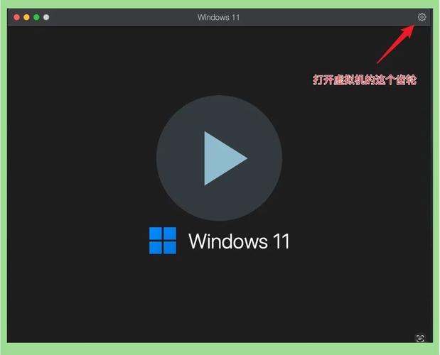 黑盒app下载:黑盒app下载最新版