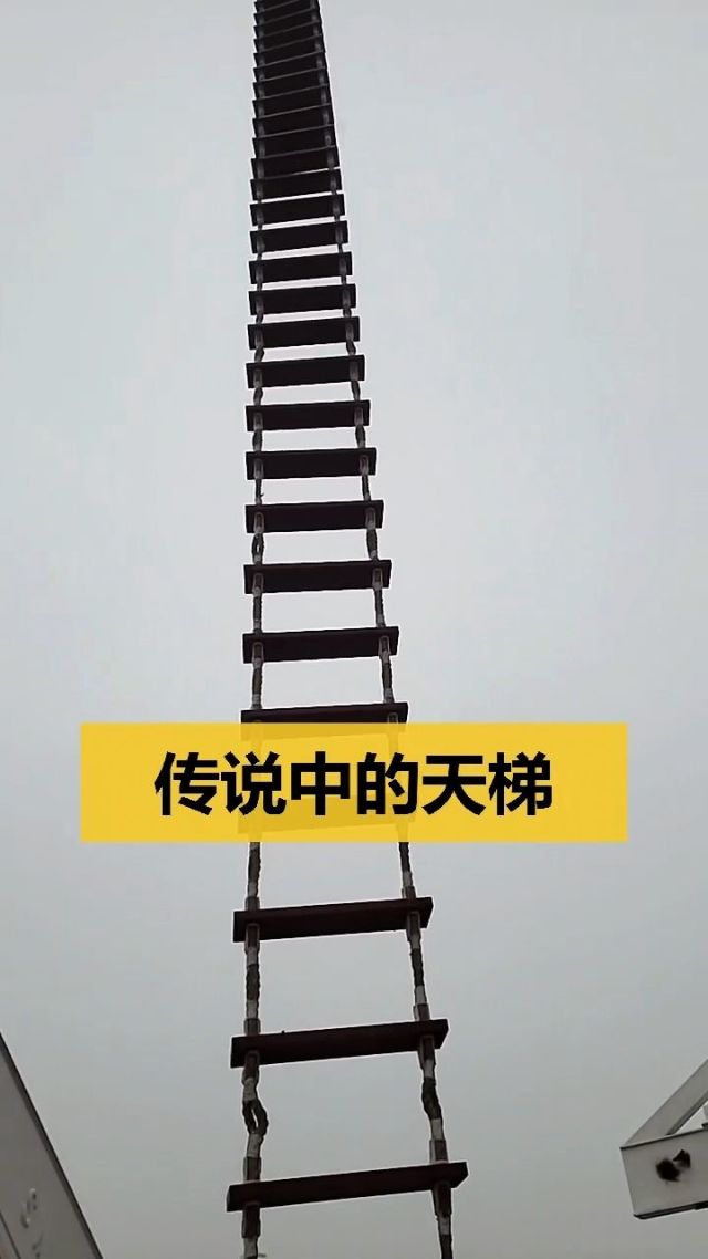 求个梯子贴吧,求一个梯子软件