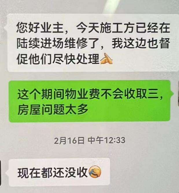 包含付费的梯子也不稳定的词条