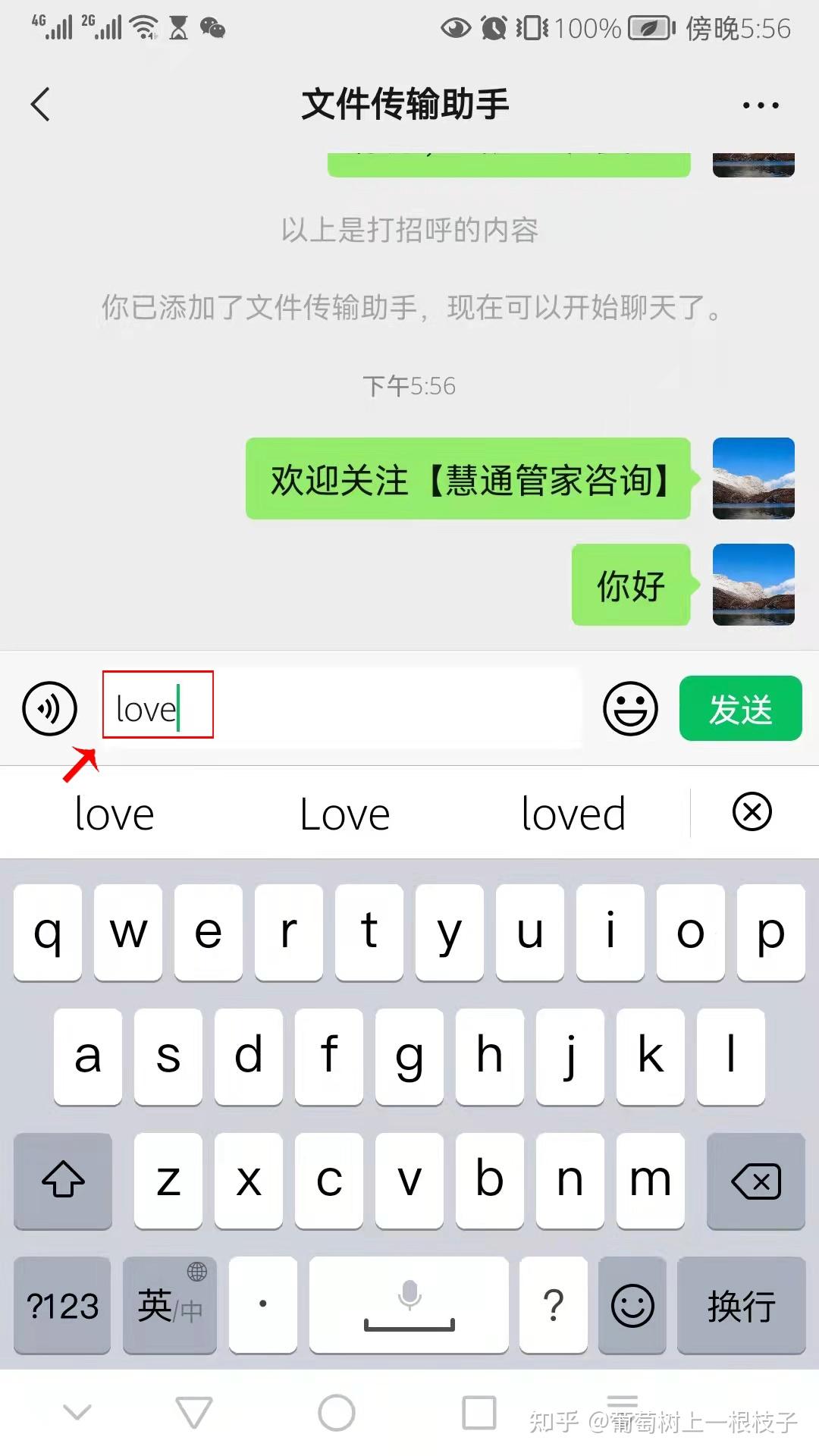 苹果手机telegreat中文翻译,苹果手机telegreat中文怎么设置