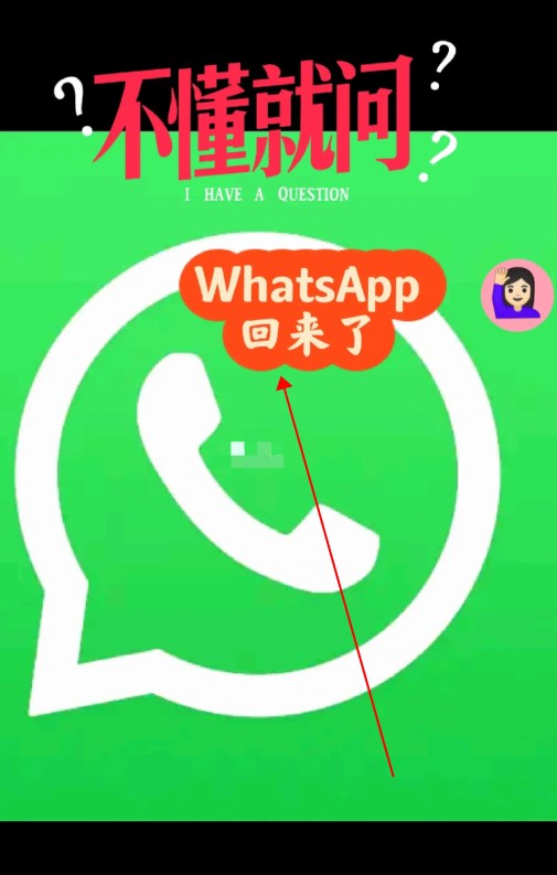 whatsapp2020安卓版下载,whatsapp2021安卓下载安装