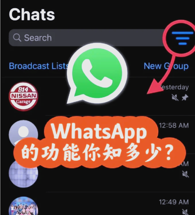 包含whatsapp如何添加好友账号的词条