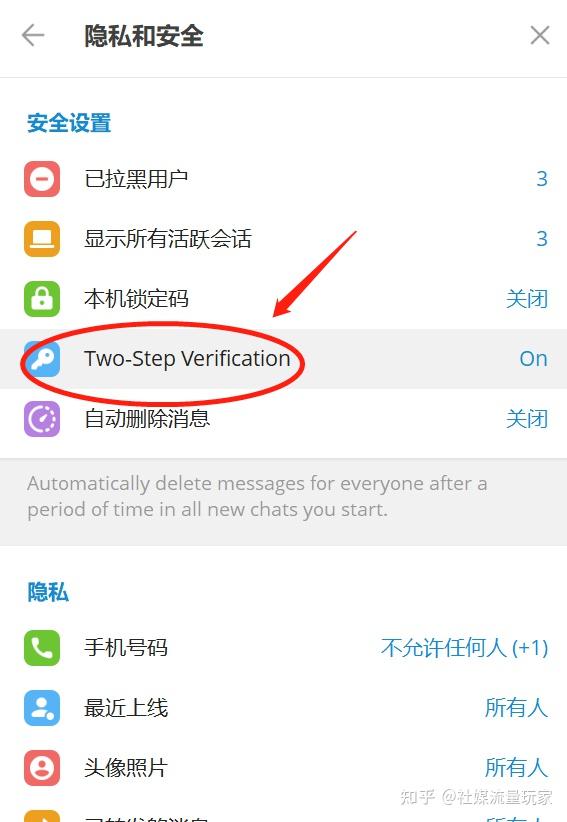 telegreat网页版网址,telegram online