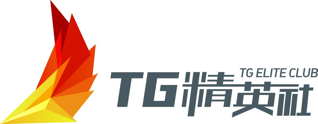 网络tg是什么,网络TG是什么意思