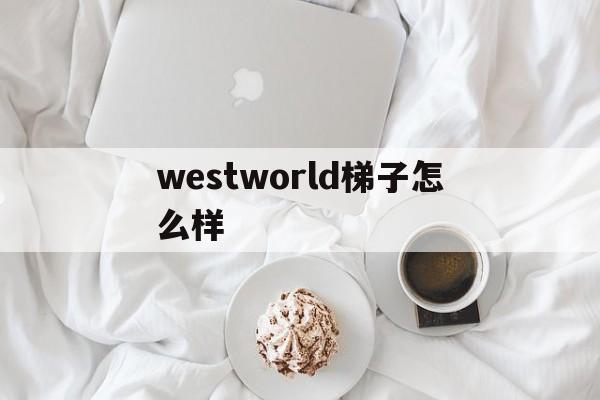 westworld梯子怎么样的简单介绍